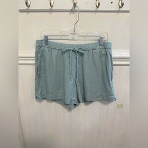 Abercrombie & Fitch Light Blue Women's Shorts